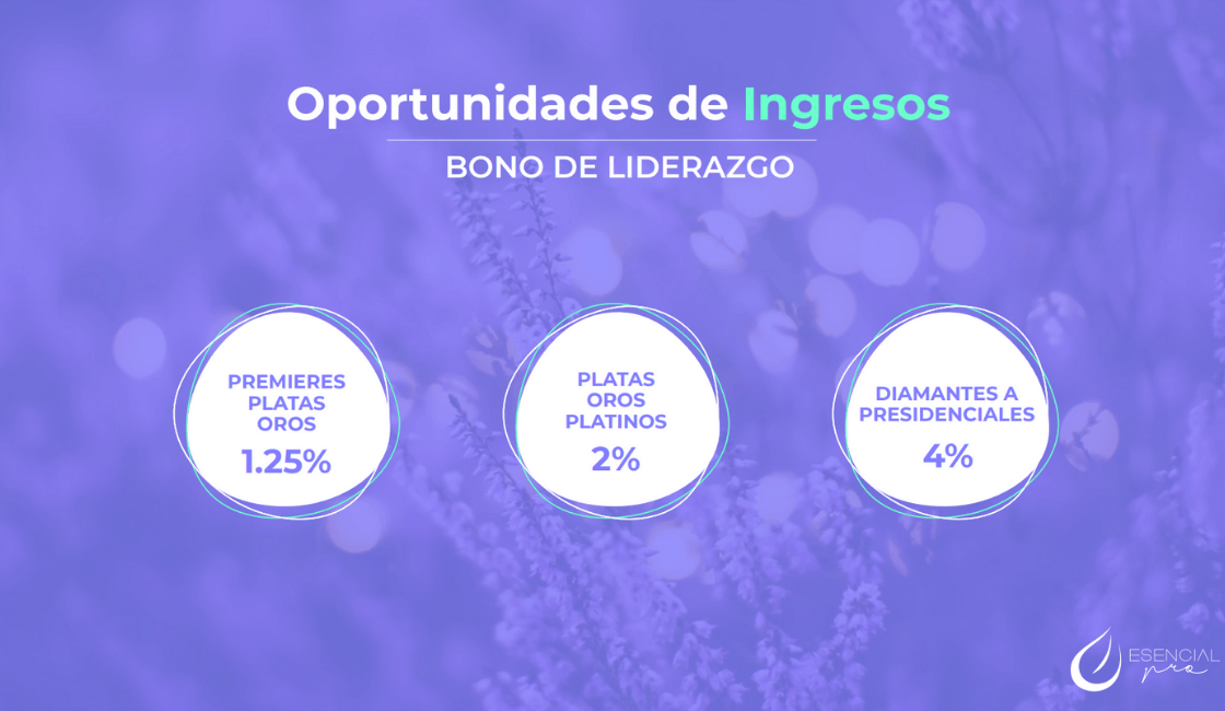 negocio simplificado doTERRA bono de liderazgo