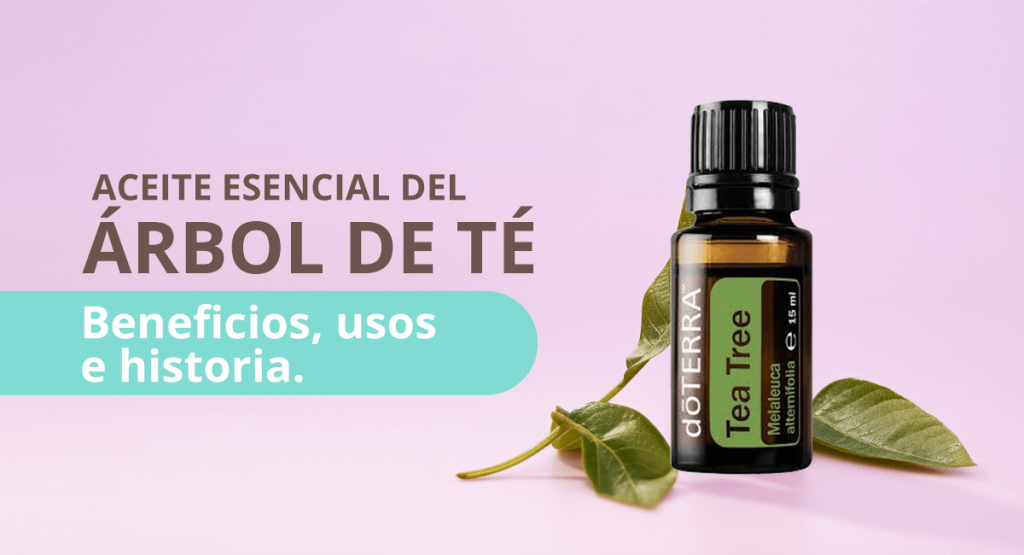 aceite esencial de árbol de té